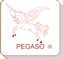 Associazione Pegaso